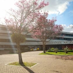 Confira como ficam os serviços públicos no feriado de Sexta-feira Santa