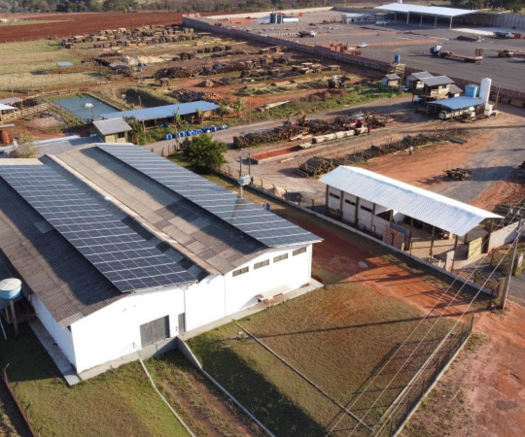 Resultado final dos selecionados no Coopera Paraná confirma maior edição do programa