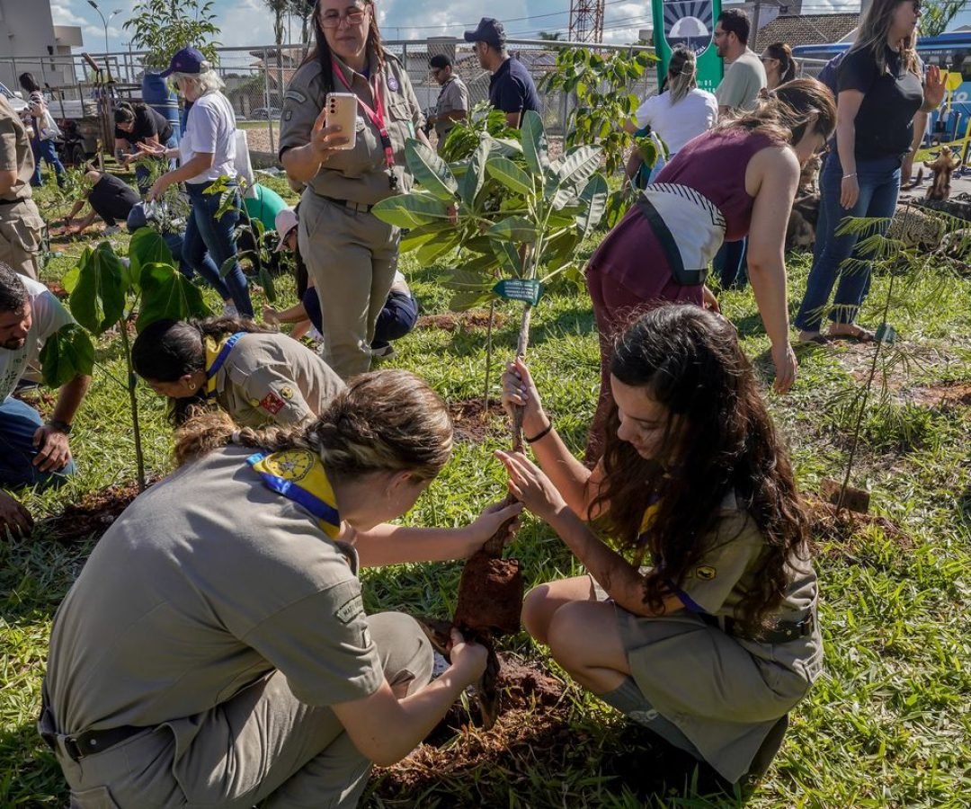 COP15 no Brasil promove conexão entre povos e territórios