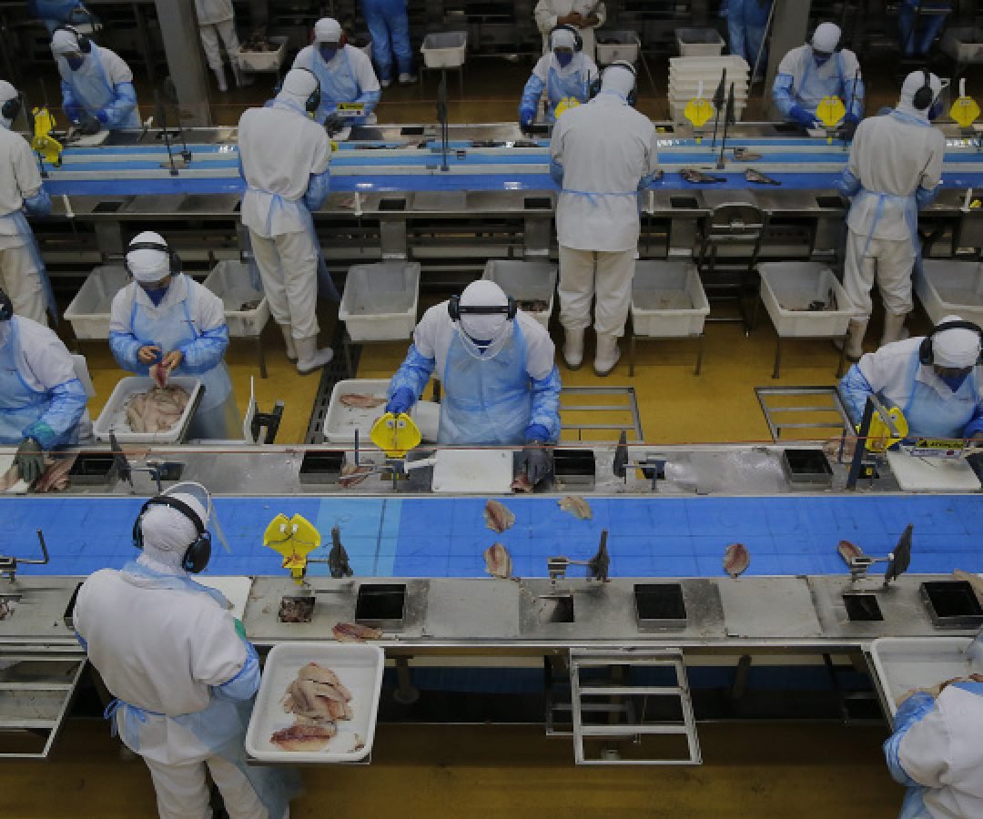 Com saldo de 21 mil postos de trabalho, Paraná fica entre os líderes em criação de empregos