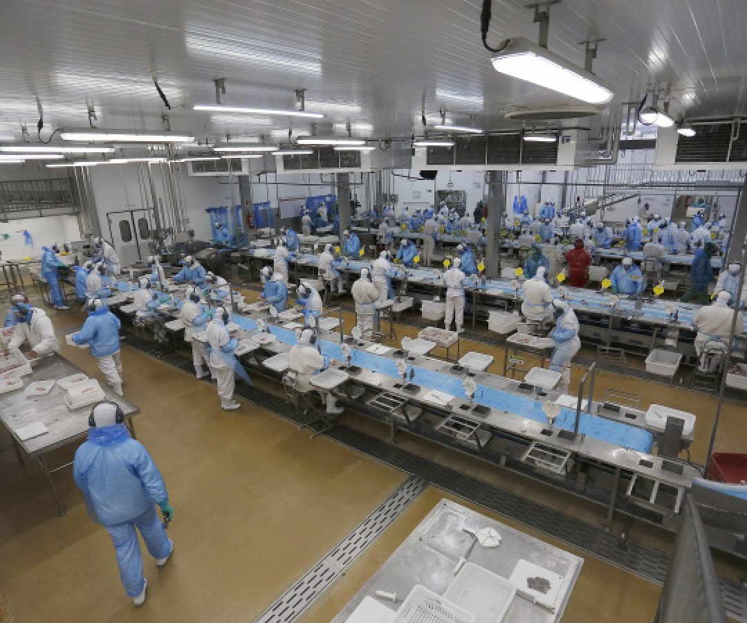 Indústria, comércio, serviços e mais: Paraná começa a semana com 25,8 mil vagas de emprego