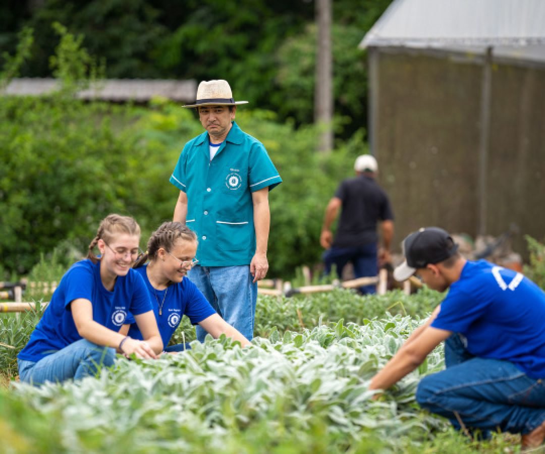 Censo Escolar 2025 aponta Paraná como um dos líderes em educação profissional no País