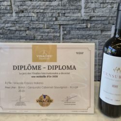 Vinícola paranaense conquista ouro na França e confirma potencial do enoturismo no Estado