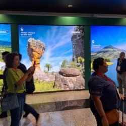 Inscrições para participar da WTM Latin América com o Viaje Paraná terminam dia 4