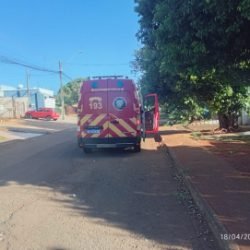 Criança fica ferida ao bater em carro no Floresta