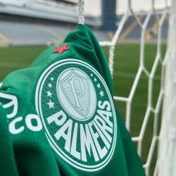 cropped-camisa-palmeiras-no-gol.jpg