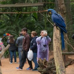 Paraná foi o terceiro portão de entrada de turistas estrangeiros em maio no país