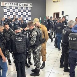 Forças de segurança prendem quatro pessoas em ação contra grupo de furtos de veículos