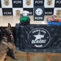 Denarc apreende mais de 30 kg de maconha e prende dois na rodoviária de Cascavel