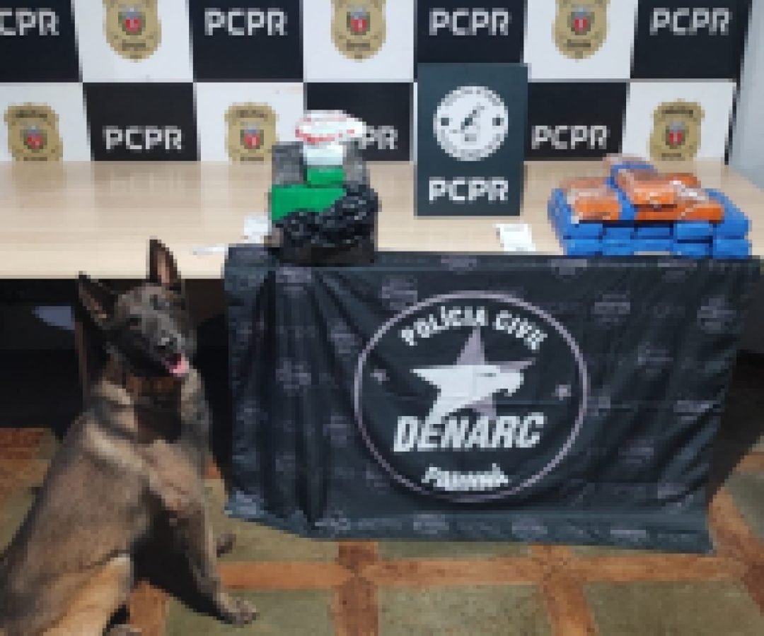 Denarc apreende mais de 30 kg de maconha e prende dois na rodoviária de Cascavel