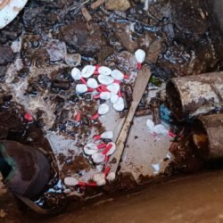 DENARC desarticula esquema de “delivery” de drogas e prende quatro no bairro Morumbi