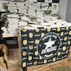 Denarc e Furtos e Roubos apreendm 1,4 tonelada de maconha