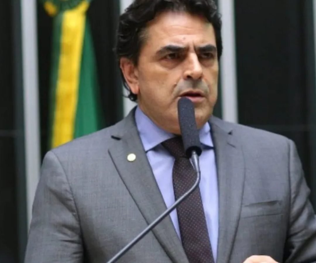 deputado-domingos-savio.jpg