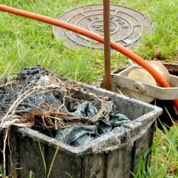 E depois da descarga? Como o descarte incorreto pode fazer o esgoto invadir sua casa