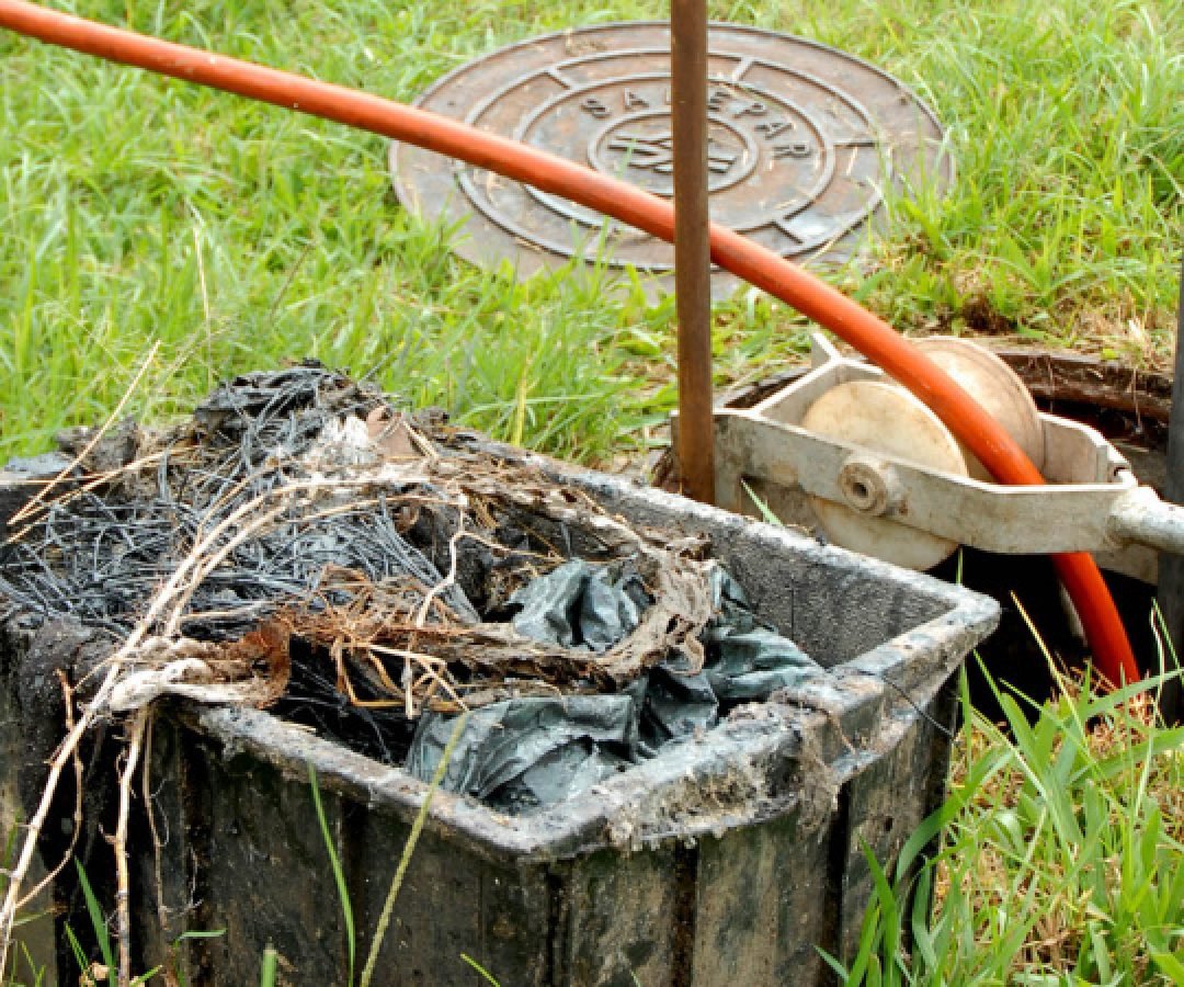 E depois da descarga? Como o descarte incorreto pode fazer o esgoto invadir sua casa
