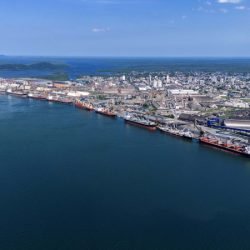 Entre navios e manguezais, biodiversidade de peixes se destaca na Baía de Paranaguá