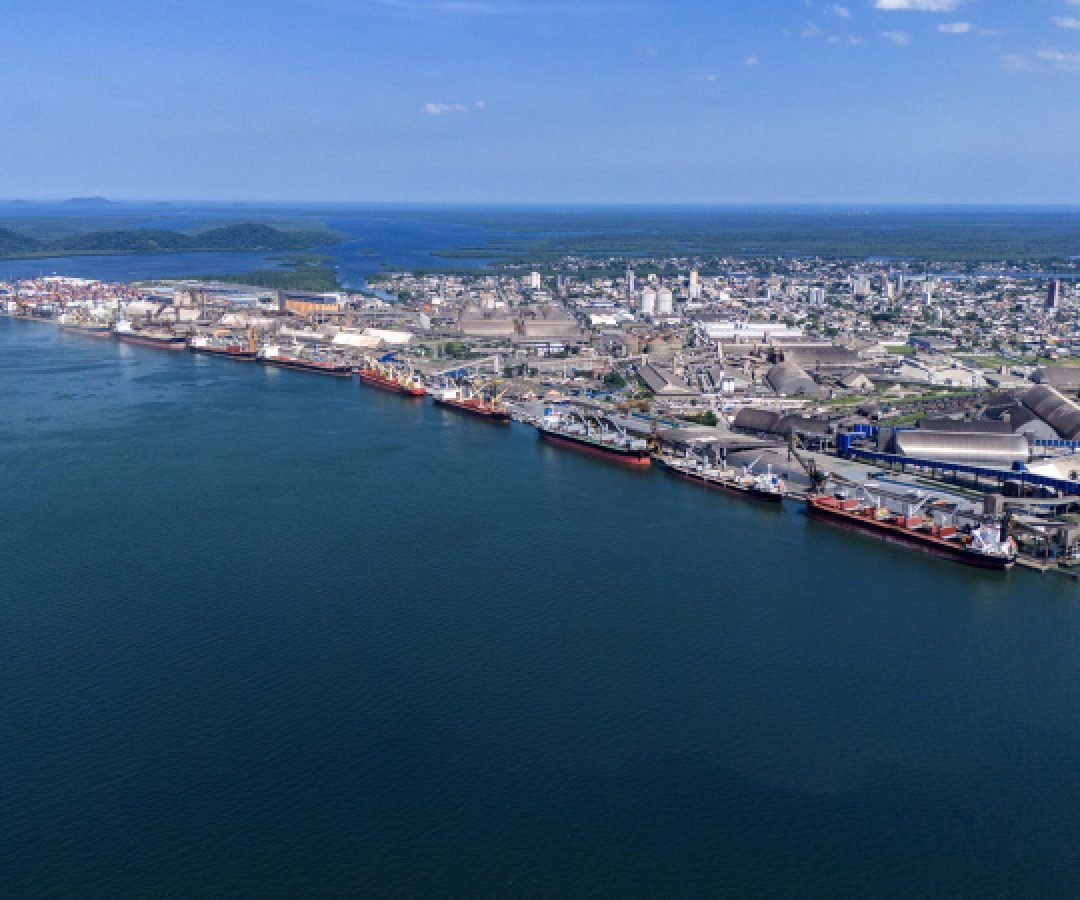 Entre navios e manguezais, biodiversidade de peixes se destaca na Baía de Paranaguá