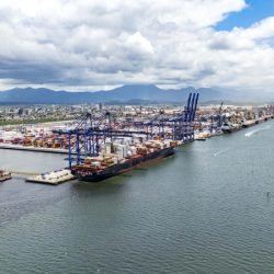 819 mil toneladas: exportação de frango pelo Porto de Paranaguá cresce 15% no 1º trimestre