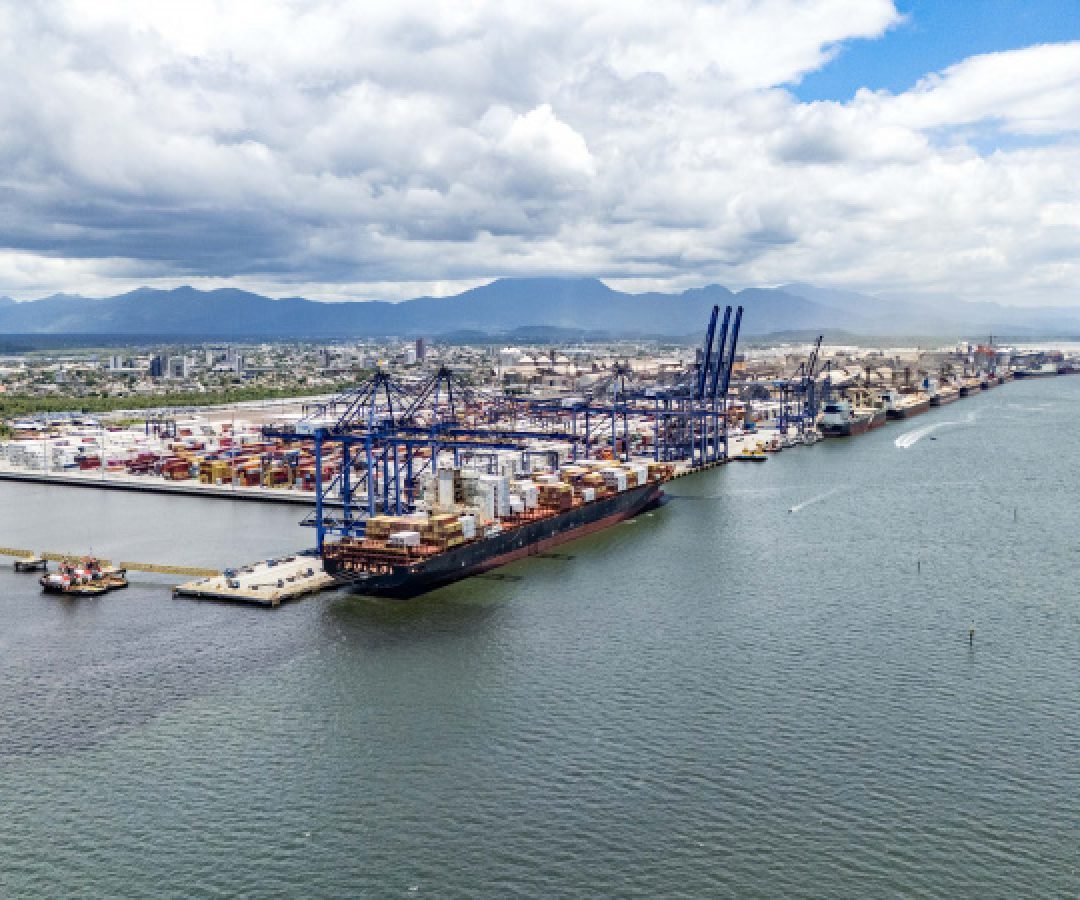 819 mil toneladas: exportação de frango pelo Porto de Paranaguá cresce 15% no 1º trimestre