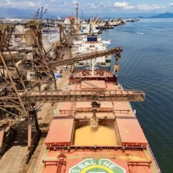 Soja e carnes lideram exportações pelos portos paranaenses no 1º bimestre