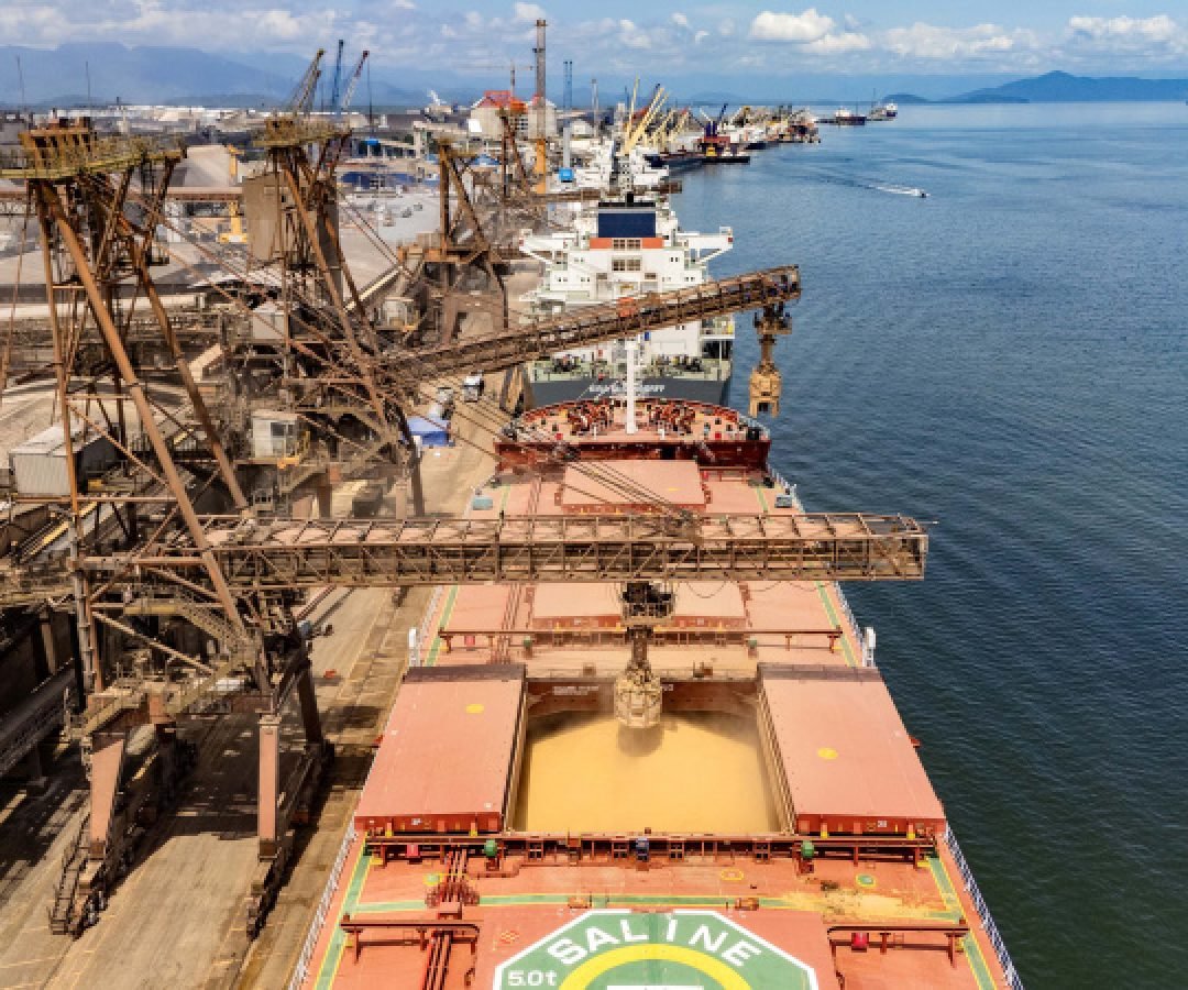 Soja e carnes lideram exportações pelos portos paranaenses no 1º bimestre