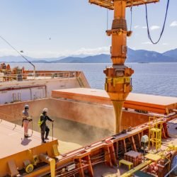 Exportações crescem 28,8% nos portos do Paraná e impulsionam movimentação em maio