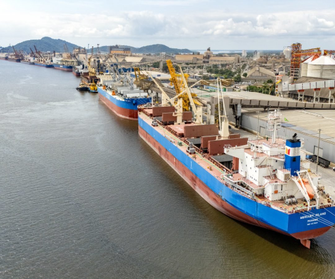 50 mil toneladas: Porto de Paranaguá registra maior operação de cevada em um navio