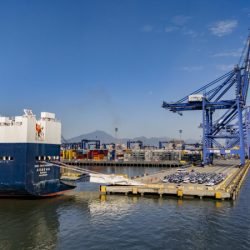 Porto de Paranaguá assume vice-liderança nacional na movimentação de veículos
