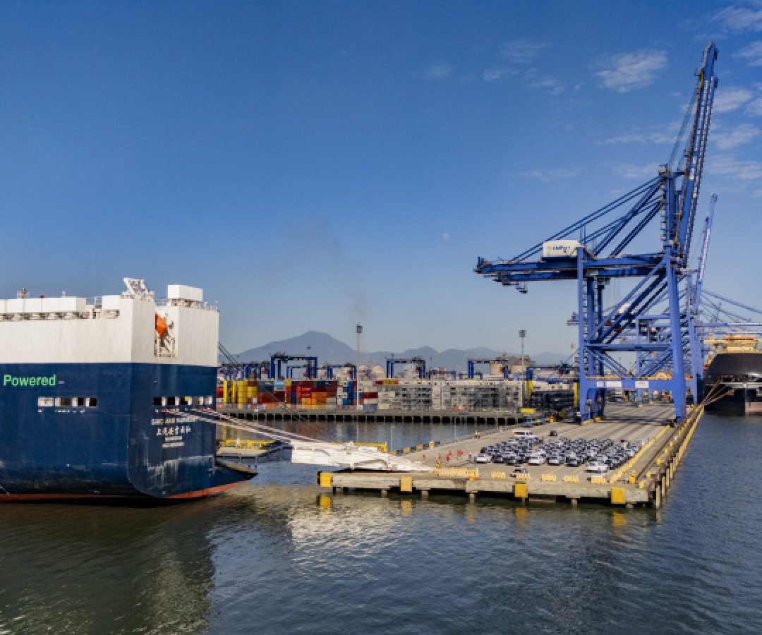 Porto de Paranaguá assume vice-liderança nacional na movimentação de veículos