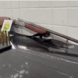Dois são presos suspeitos de furtos de gado em Guaraniaçu