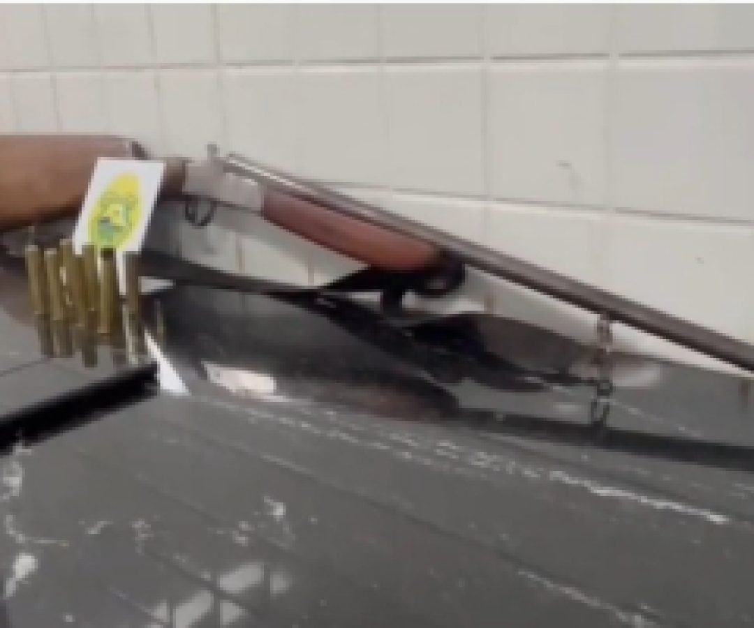 Dois são presos suspeitos de furtos de gado em Guaraniaçu