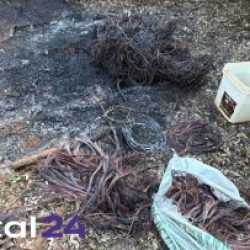 Dois suspeitos de furtar fios fogem e ficam feridos após perseguição da Guarda Municipal