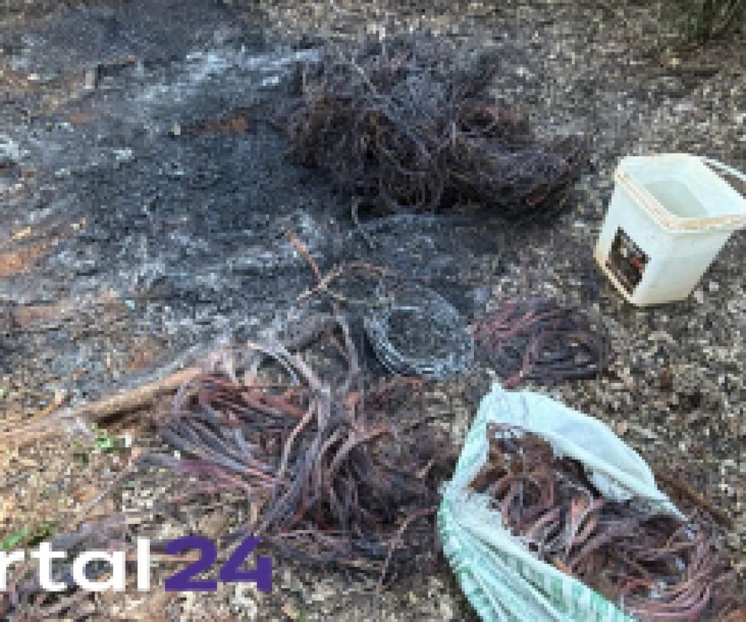 Dois suspeitos de furtar fios fogem e ficam feridos após perseguição da Guarda Municipal