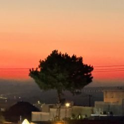 Domingo será de sol e calor em Cascavel