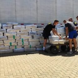 Com placas do Paraná, caminhão é apreendido com 1,7 tonelada de maconha escondida em carga de embalagens em SP