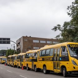 Governo do Estado entrega mais 88 ônibus escolares para atender 76 municípios