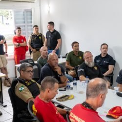 Forças de segurança farão megaoperação para garantir proteção do público nos shows do Verão Maior