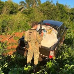 PRF apreende uma tonelada de agrotóxicos contrabandeados no Oeste do Paraná
