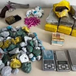 PCPR e PMPR prendem sete pessoas em operação contra o tráfico de drogas em Palmeira