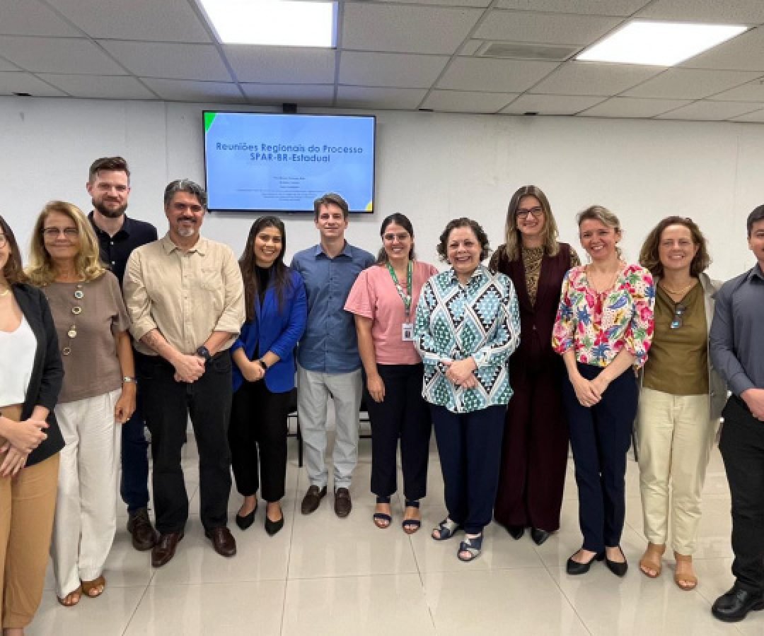 Paraná sedia debate regional sobre vigilância e resposta a emergências em saúde pública