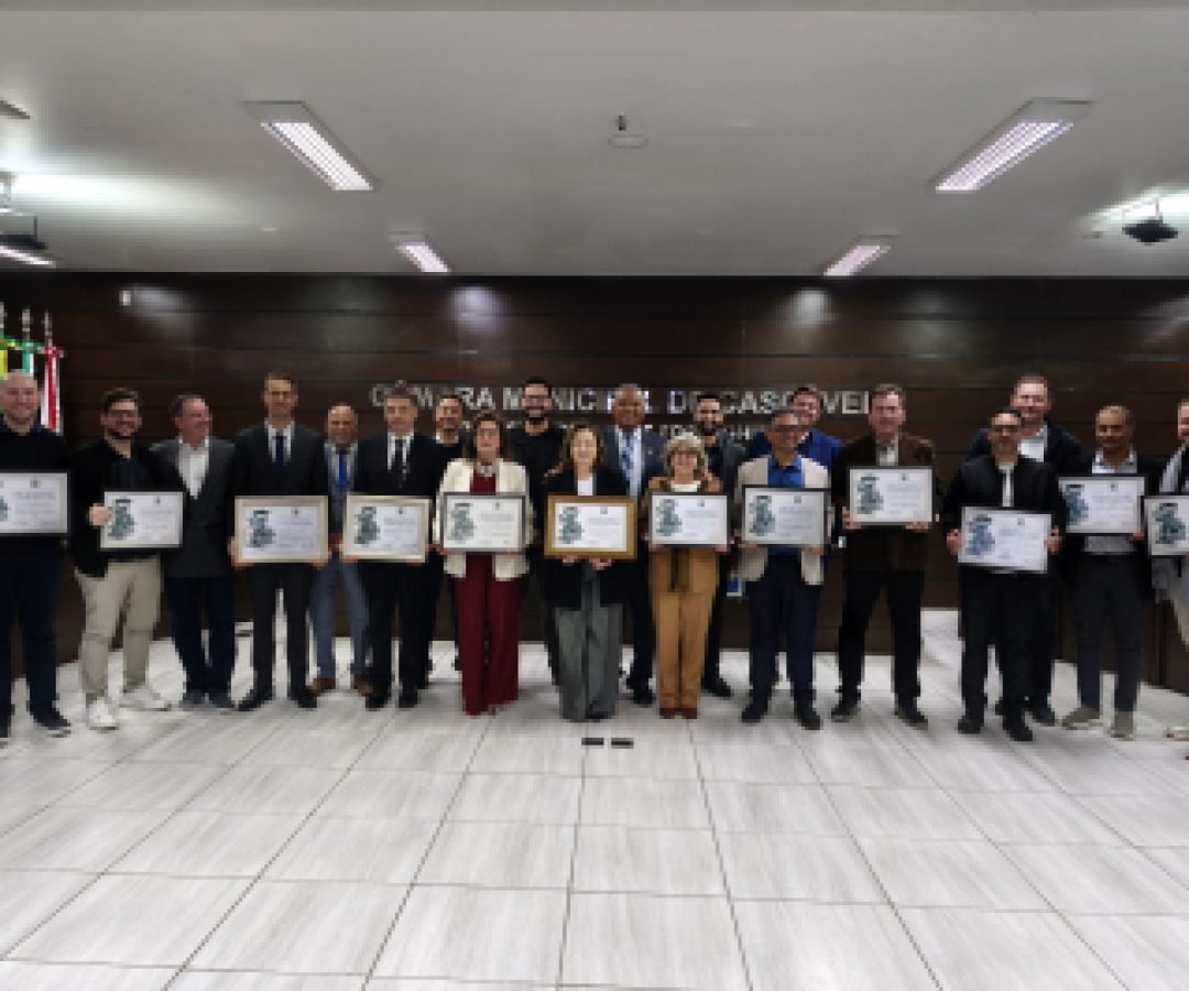 Entidades, empresa e profissionais recebem homenagens da Câmara