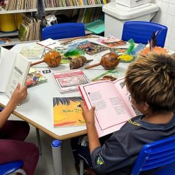 Paraná é o estado com o maior número de escolas com bibliotecas; rede estadual tem obras raras