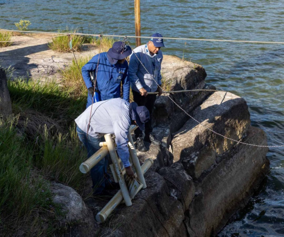 Sanepar desenvolve alternativa versátil e de menor custo para monitorar a qualidade da água