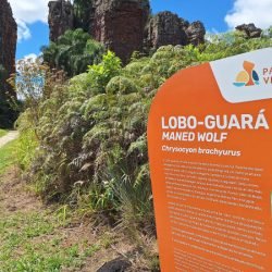 Estado fortalece infraestrutura turística com obras, sinalização e novos equipamentos