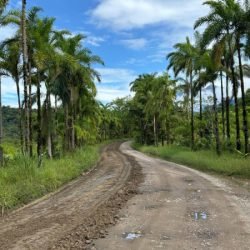 DER/PR contrata estudos ambientais e projeto da pavimentação de Guaraqueçaba