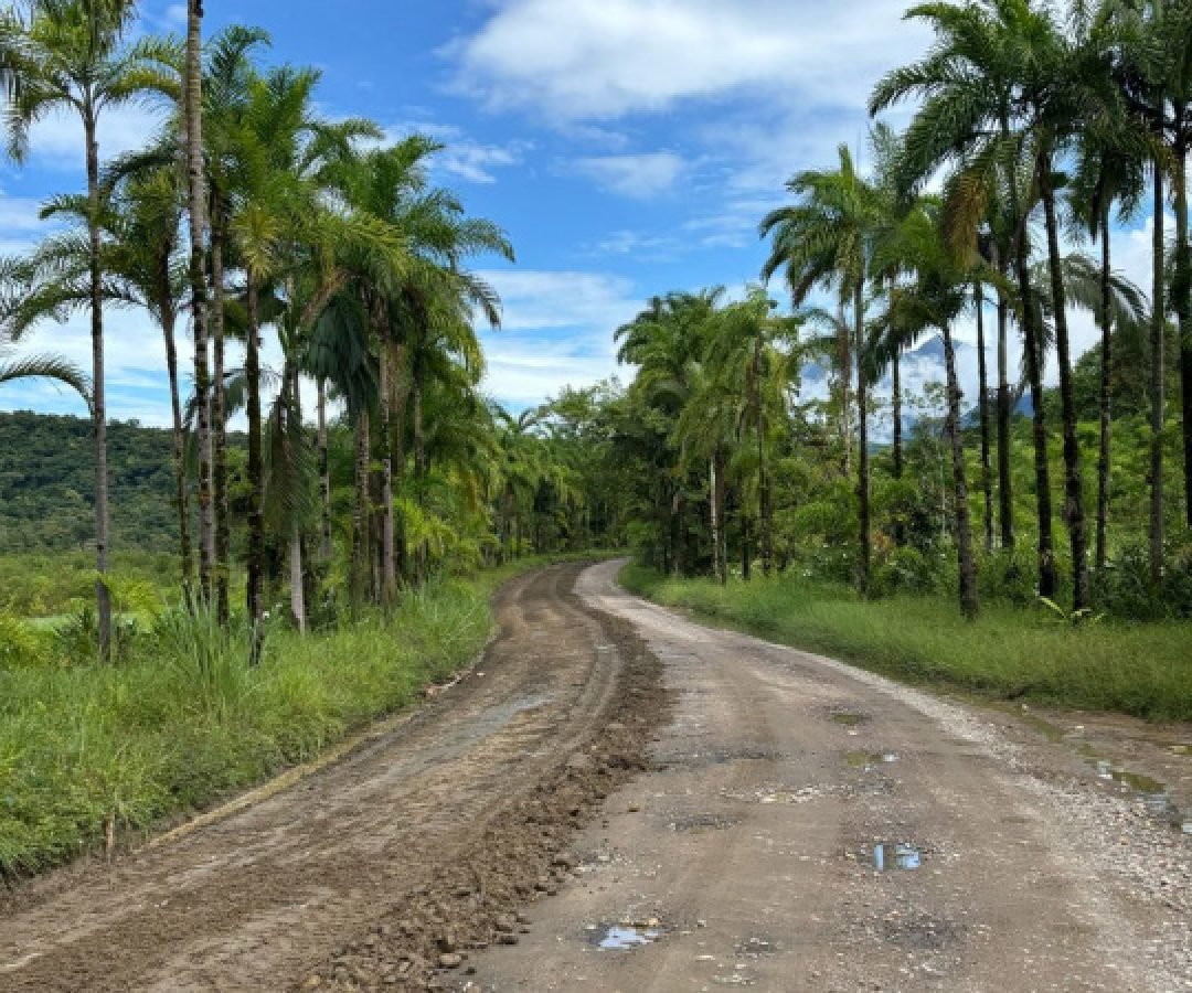 DER/PR contrata estudos ambientais e projeto da pavimentação de Guaraqueçaba