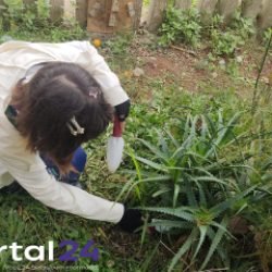 Estudantes criam projeto para implantação de ecoponto em cidade do Paraná