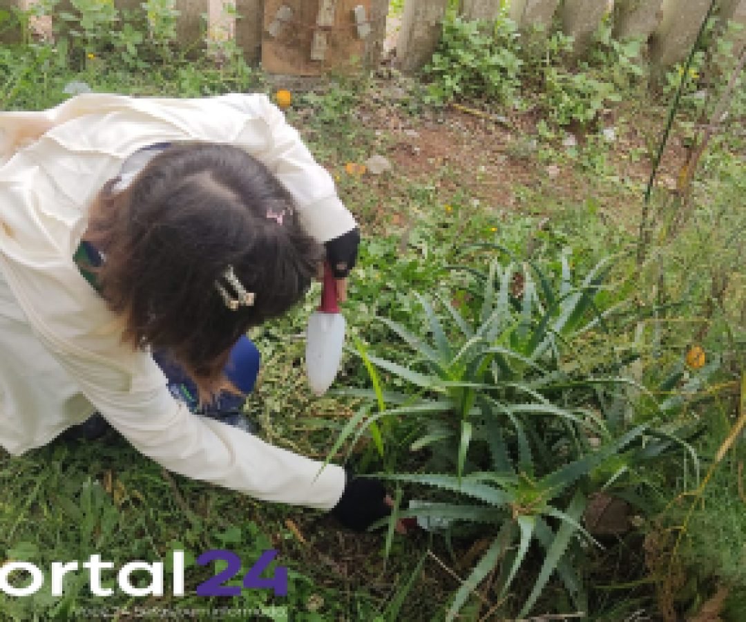 Estudantes criam projeto para implantação de ecoponto em cidade do Paraná