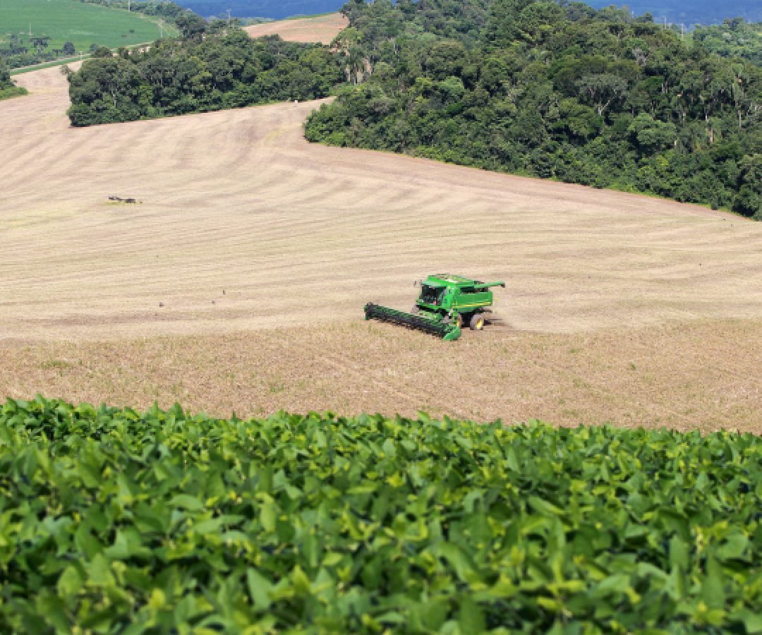 Campo mais forte: Valor Bruto de Produção da agropecuária do Paraná dobra em seis anos