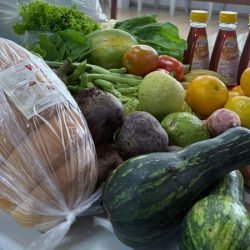 Segurança alimentar: novo edital vai garantir continuidade do programa Compra Direta Paraná